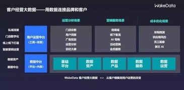 2019全球數字價值峰會 WakeData李柯辰——以數據為橋，連接品牌與客戶